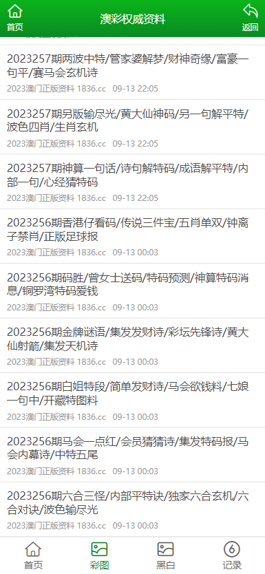 2024澳门精准正版资料,探索澳门正版资料，2024年的精准指南