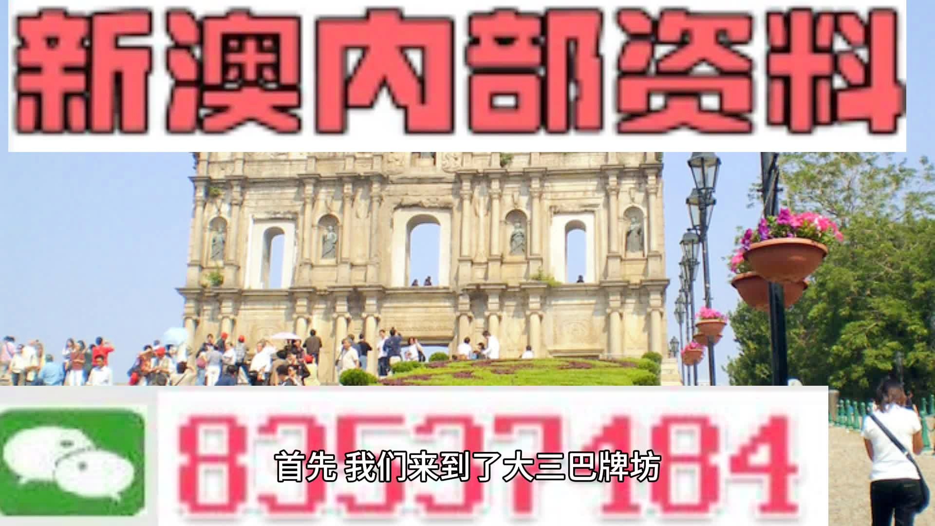 新澳2025年精准资料33期,新澳2025年精准资料解析，第33期的独特视角