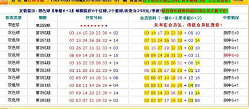 2025年1月 第29页