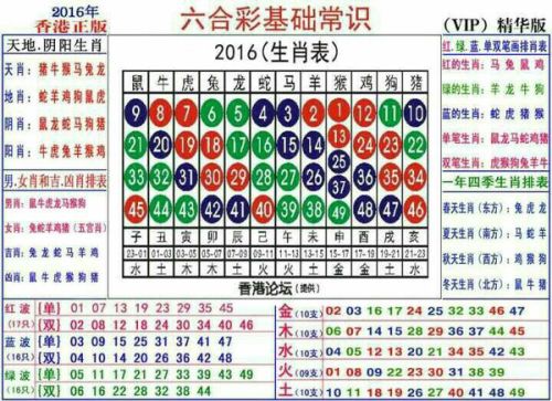 2025十二生肖49个码,揭秘十二生肖与数字密码，探寻2025年十二生肖的49个神秘码